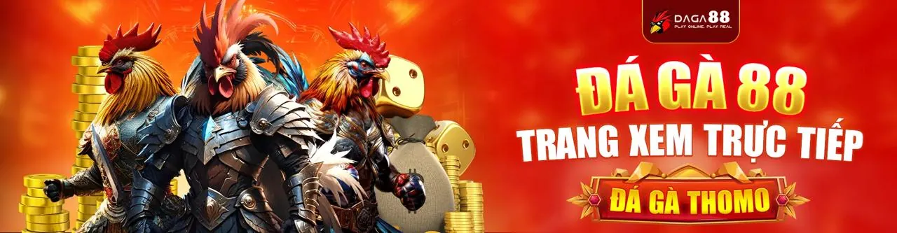 Đá gà trực tuyến DG5566 nhà cái